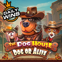 The Dog House – Dog or Alive